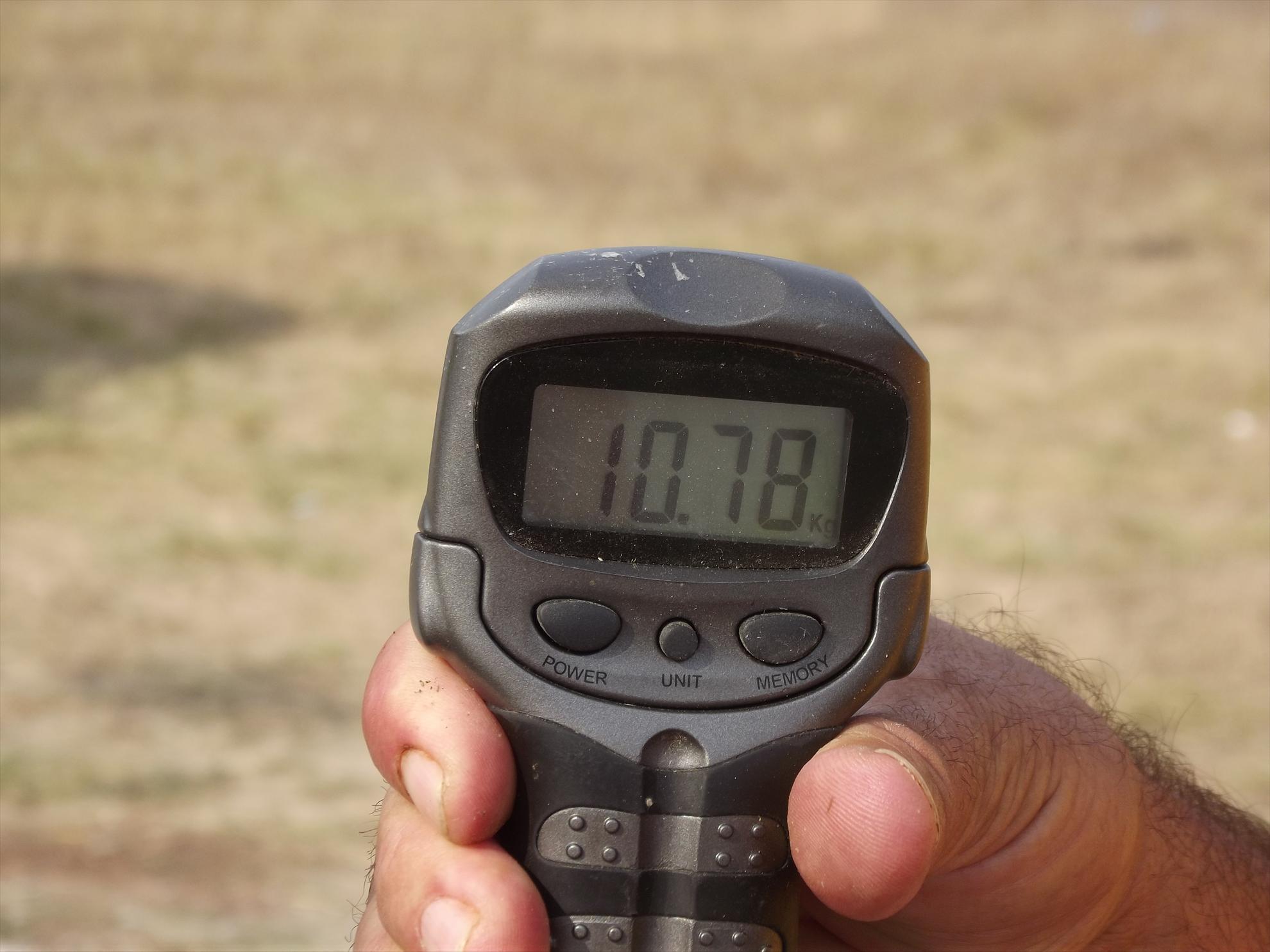 M.Vlasiei 2011 - dscf0453.JPG